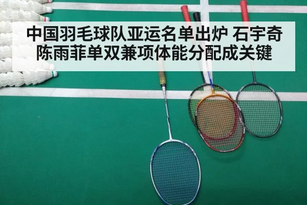 Shi Yuqi badminton match