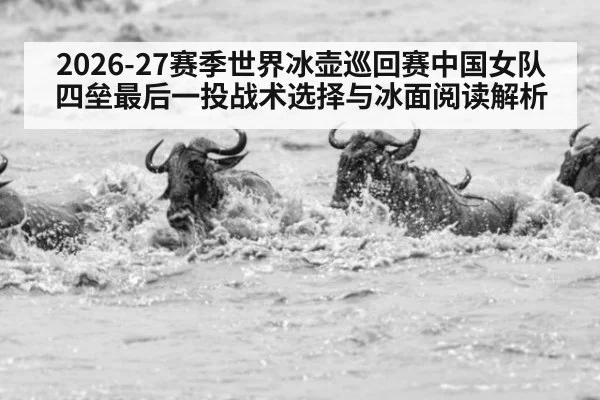 2026-27赛季世界冰壶巡回赛中国女队四垒最后一投战术选择与冰面阅读解析